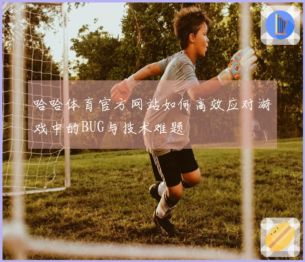 哈哈体育官方网站如何高效应对游戏中的BUG与技术难题