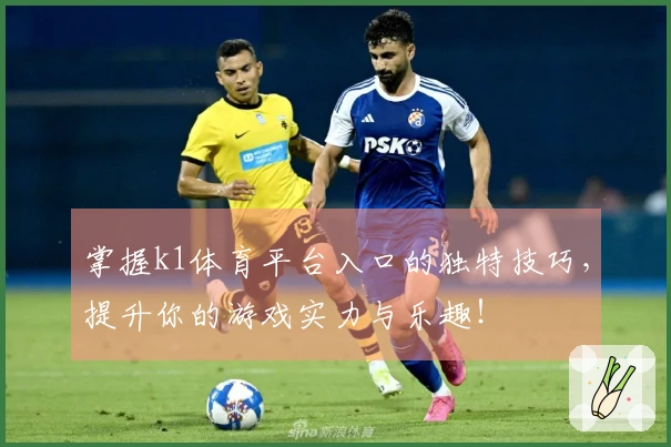掌握k1体育平台入口的独特技巧，提升你的游戏实力与乐趣！