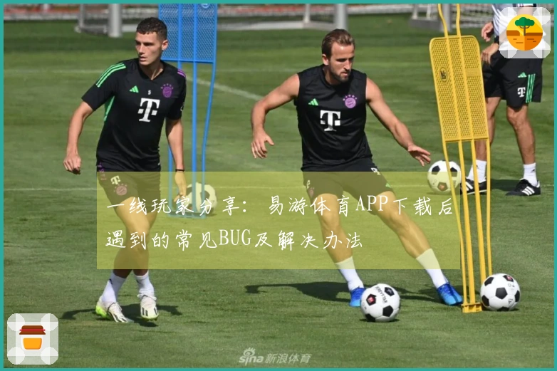 一线玩家分享：易游体育APP下载后遇到的常见BUG及解决办法